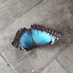 IMG_20250430_103317